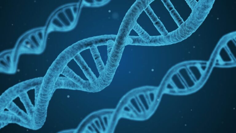 Totalbiologi – helande genom medvetande