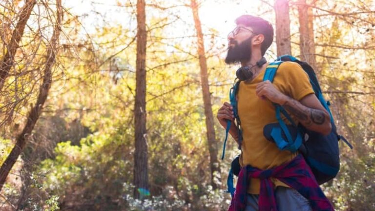 Gå i skogen – 6 skäl till varför du bör gå i skogen. Kolla in det här!