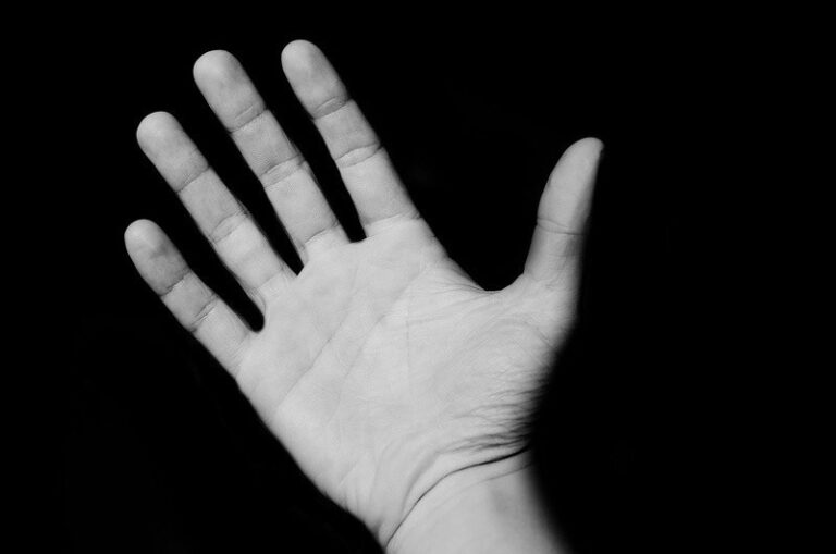 The Big Five – vad är det? Definition av begreppet
