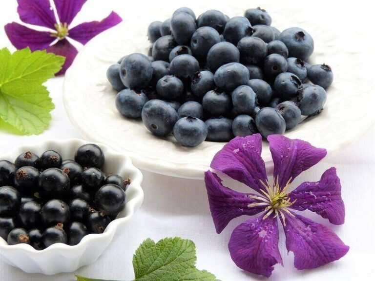 Slow food: Upptäck värdet av medvetet ätande och hälsosamma matvanor