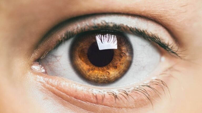 Bruna ögon – den mest populära ögonfärgen