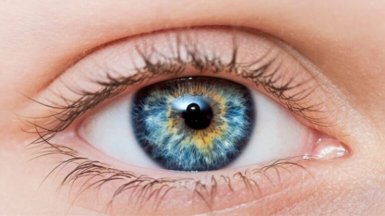 Ögonfärger – hur ärver vi dem?