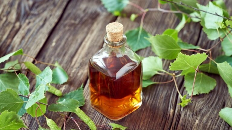 Björkblad – medicinska och hälsofrämjande egenskaper