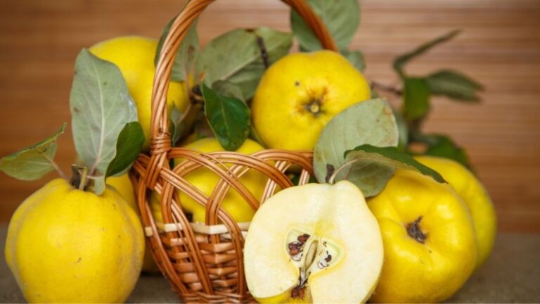 Kvittenrecept – se vad du kan göra med den!