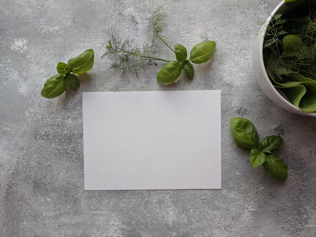 kartka papieru